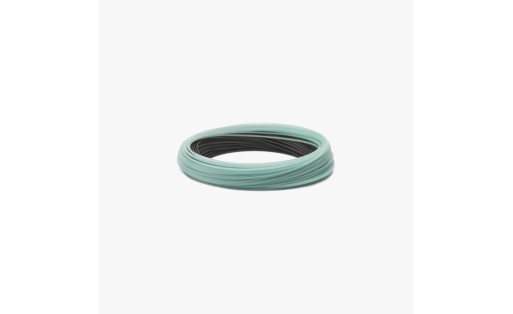 Soie Plongeante RIO Elite Leviathan 26FT