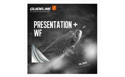 Soie flottante Guideline Presentation+