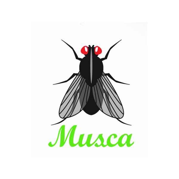 MUSCA
