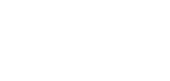 Vision Vision